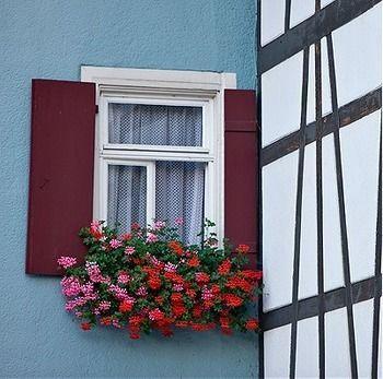 Landgasthof Ochsen 3* Seelbach (Baden-Wurttemberg)
